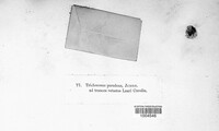 Image Associated With the Occurence